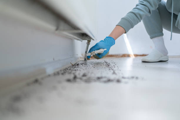 Best Rodent Control Near Me  in Alderton, WA